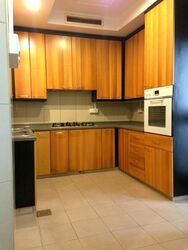 Valley Park (D10), Condominium #563708851